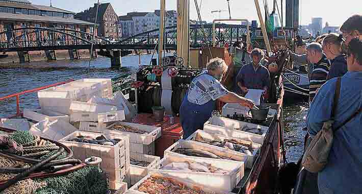 Obiective turistice Hamburg, Piata de peste 