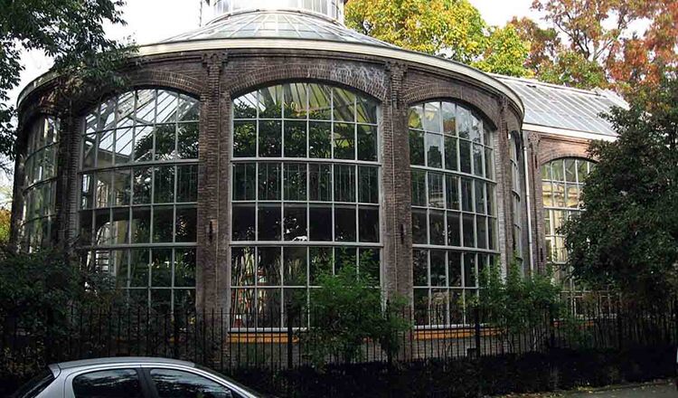 Gradina Botanica din Amsterdam 