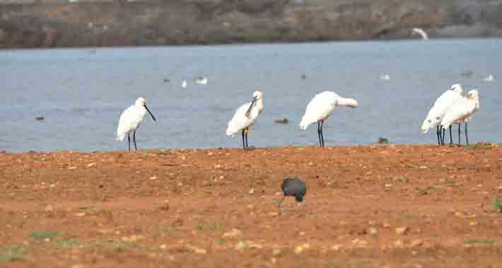 Obiective turistice Cadiz, Parque Natural