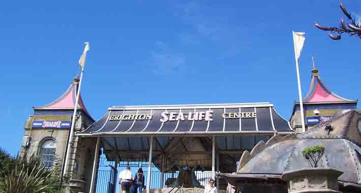 Obiective turistice Brighton, Sea Life Centre