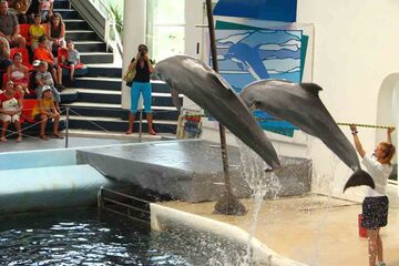 Varna - Delfinariul