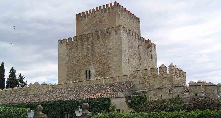 Obiective turistice Ciudad Rodrigo, Castelul lui Enrique