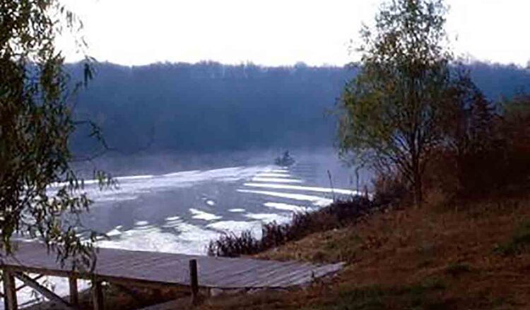 Balta Sacalaz Paradisul Verde