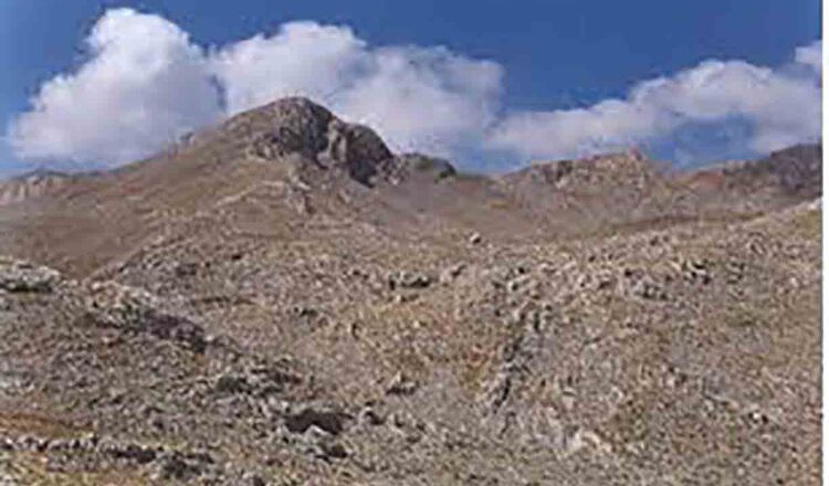 Gerontovrachos