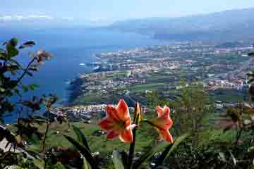 Tenerife - Valle de La Orotava