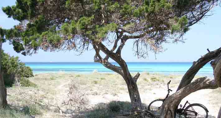 Obiective turistice Ibiza, Formentera
