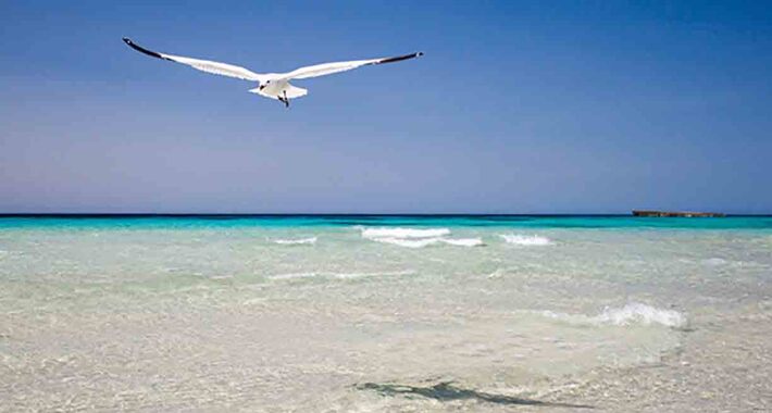 Obiective turistice Menorca, Plajele
