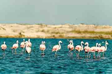 Aveiro - Reserva Natural das Dunas de Sao Jacinto