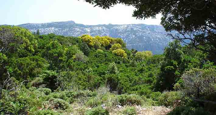 Obiective turistice Sardinia, Muntii Gennargentu