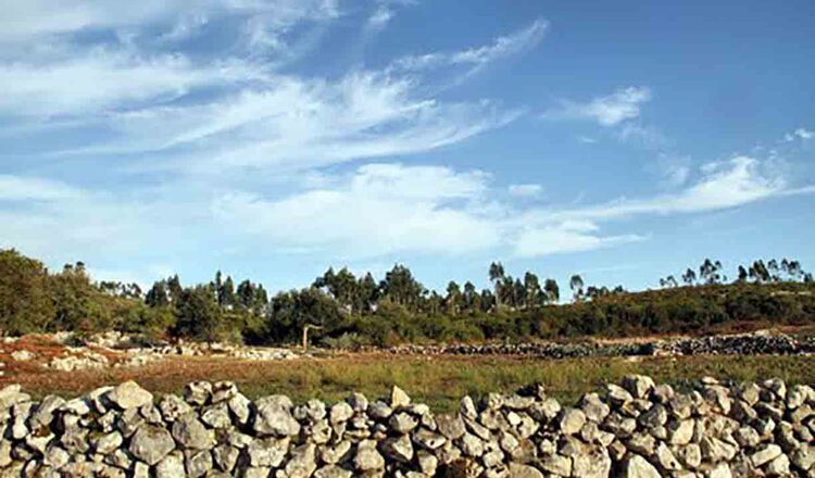 Parque Natural das Serras de Aire