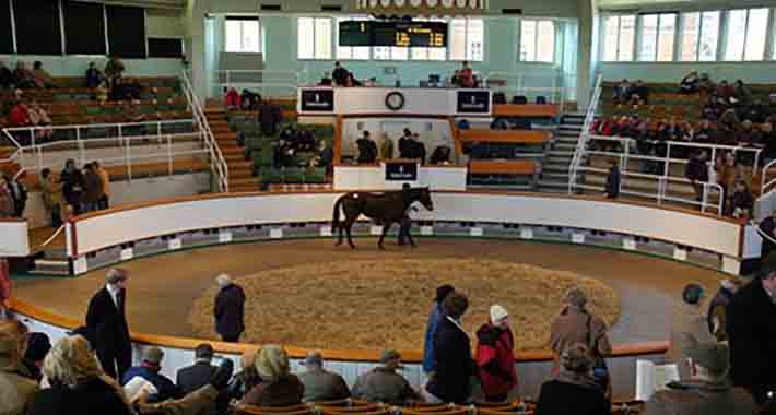 Obiective turistice Newmarket, Tattersalls