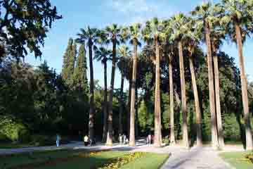 Atena - Gradina Nationala