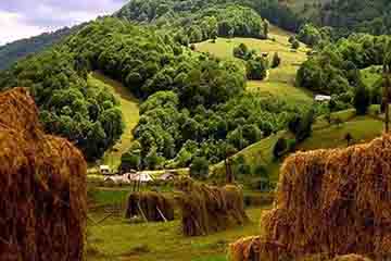 Sighetu Marmatiei - Valea Izei