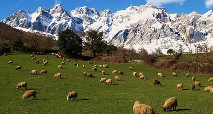 Obiective turistice Picos de Europa, Mogrovejo