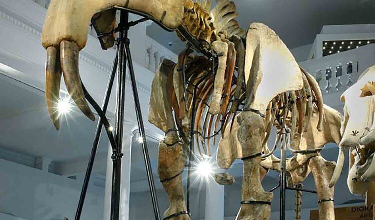 Copiii invata sa faca martisoare la Muzeul 