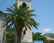 Biserica Sf Roko