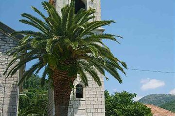 Tivat - Biserica Sf Roko