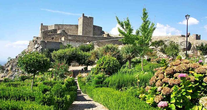 Obiective turistice Portalegre, Flora si fauna dealurilor