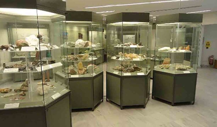 Muzeu de Arheologie