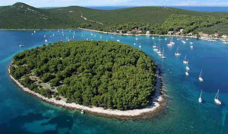 Insula Molat