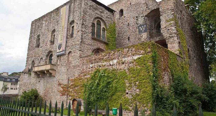 Obiective turistice Rudesheim, Muzeul Vinului din Bromserburg