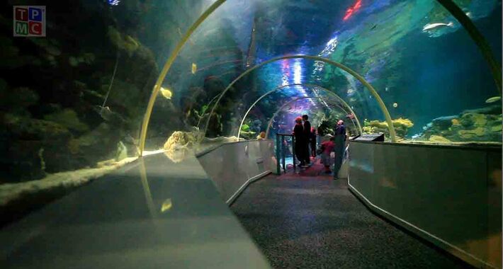 Obiective turistice Comitatul Wicklow, National Sea Life Center