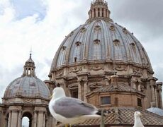 Poze Basilica di San Pietro