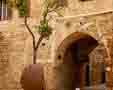 Manastirea Sf Nicolae