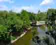 City Park