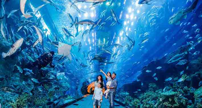 Obiective turistice Dubai, Dubai Aquarium