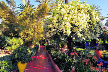 Marrakech - Gradinile Majorelle si Muzeul de Arta Islamica