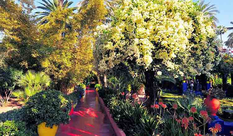 Gradinile Majorelle si Muzeul de Arta Islamica