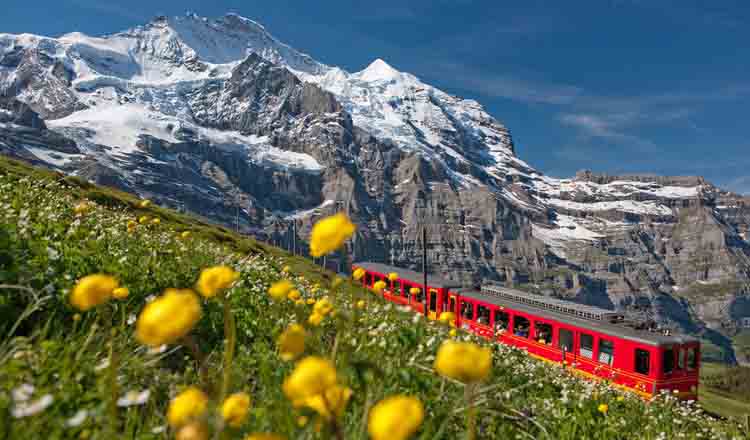 In Elvetia, nu ai voie sa tragi apa la toaleta dupa ora 22:00
