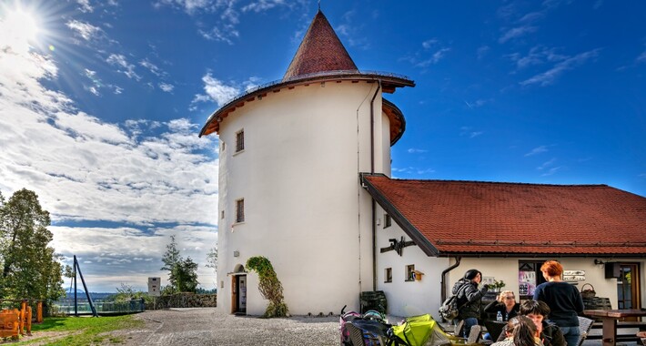 Obiective turistice Kranj, Castelul Pungert