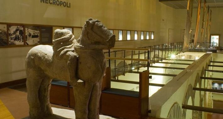 Obiective turistice Salerno, Muzeul Arheologic Provincial (Museo Archeologico Provinciale di Salerno)